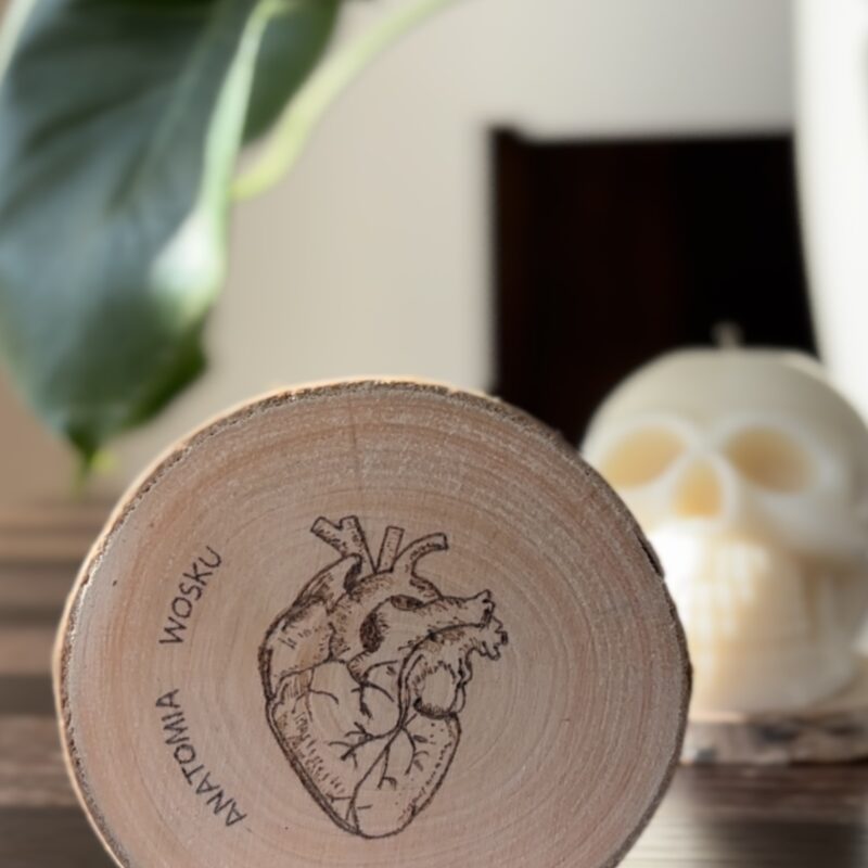 anatomiczna podstawka