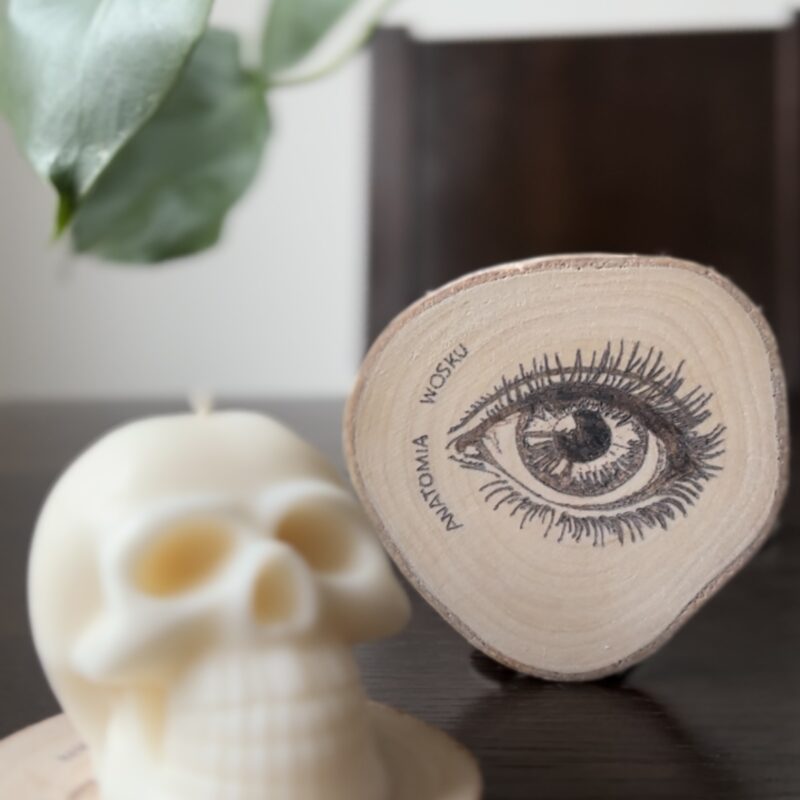 anatomiczna podstawka - oko