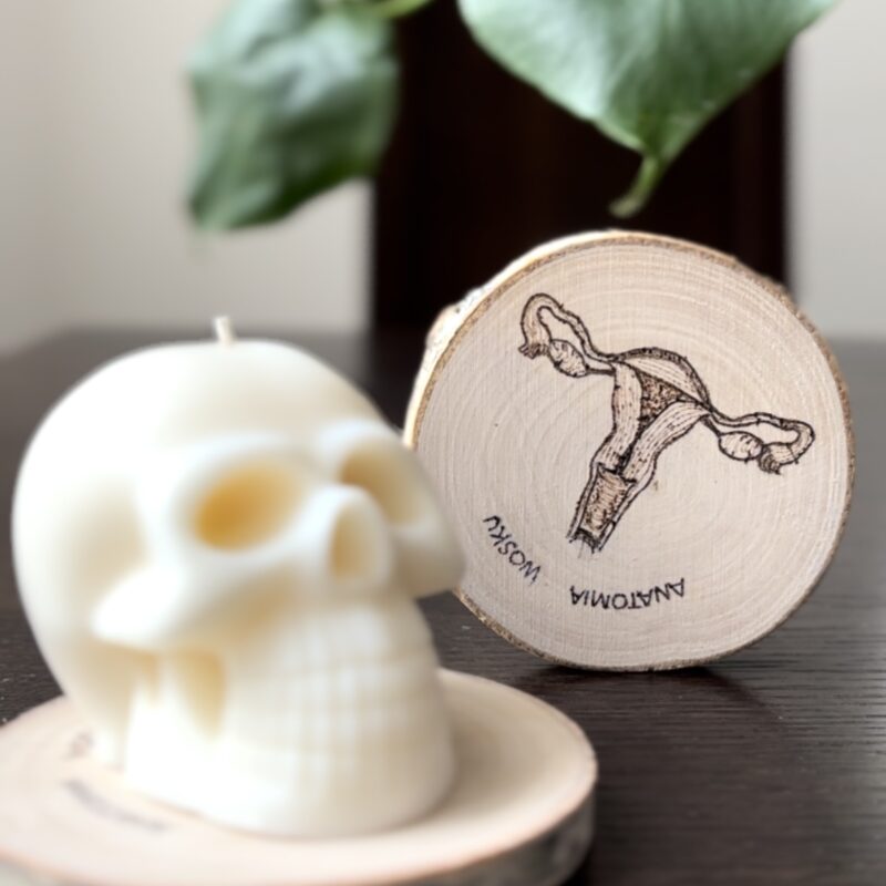 anatomiczna podstawka + sojowa czaszka (mała)