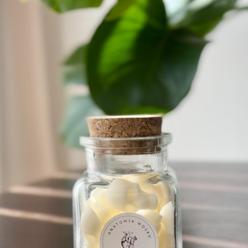 prezentowy słoiczek sojowych czaszek