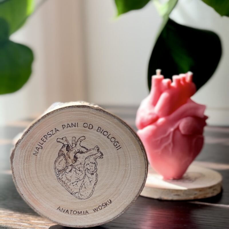 Podstawka - najlepsza Pani od Biologii