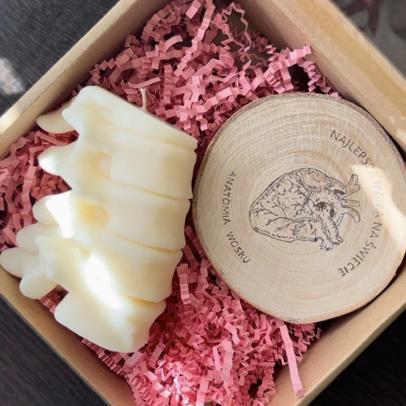 anatomiczny zestaw prezentowy ( sojowy kręgosłup + anatomiczna podstawka)