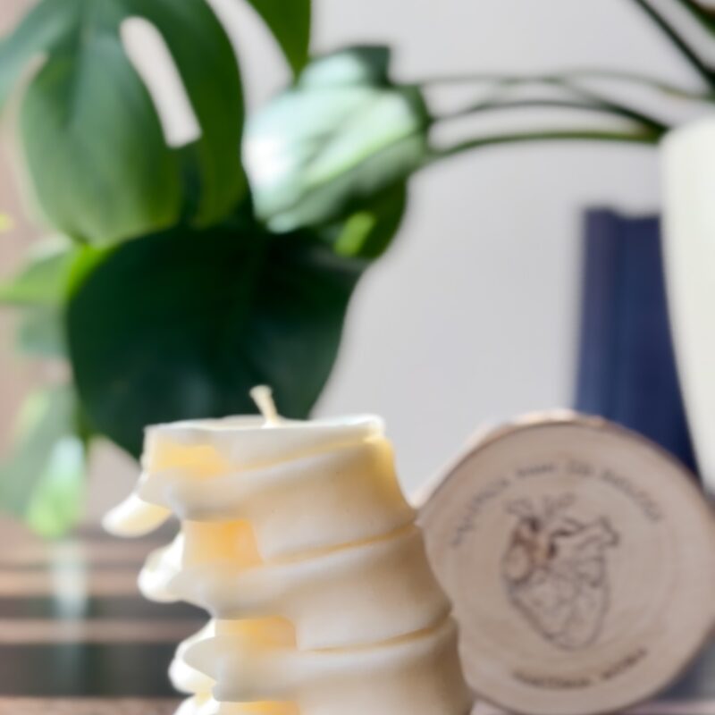 Zestaw kręgosłupów sojowych x2