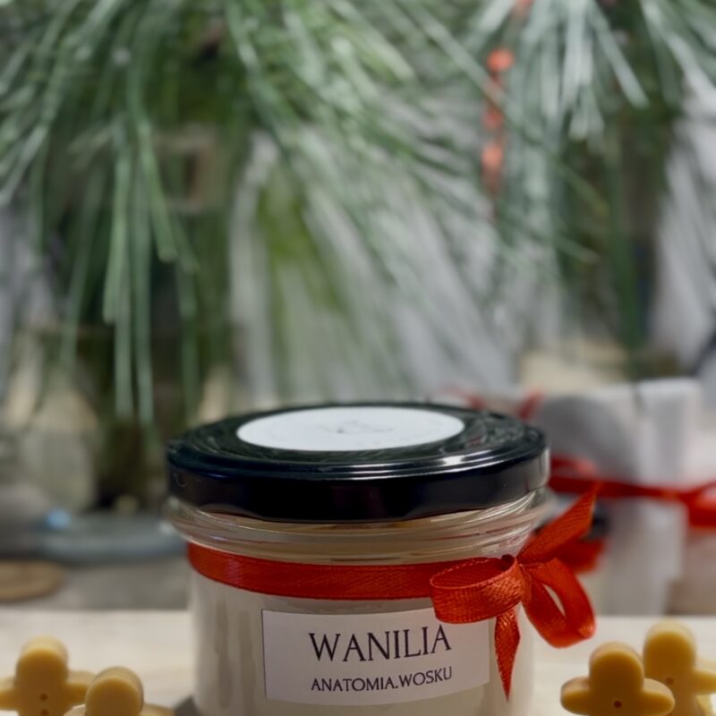 anatomiczny słoiczek zimowy