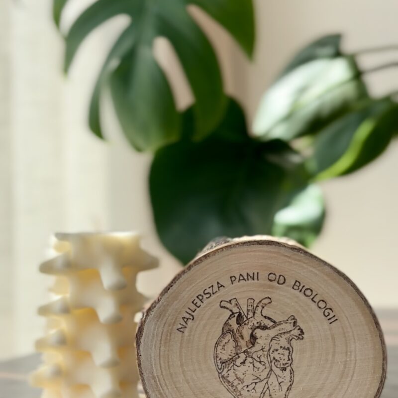 ANATOMICZNA PODSTAWKA - NAJLEPSZA PANI OD BIOLOGII