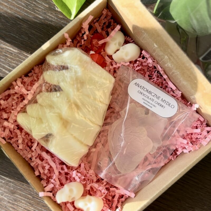 anatomiczny zestaw mydlany(anatomiczne mydło + sojowe kręgosłup)