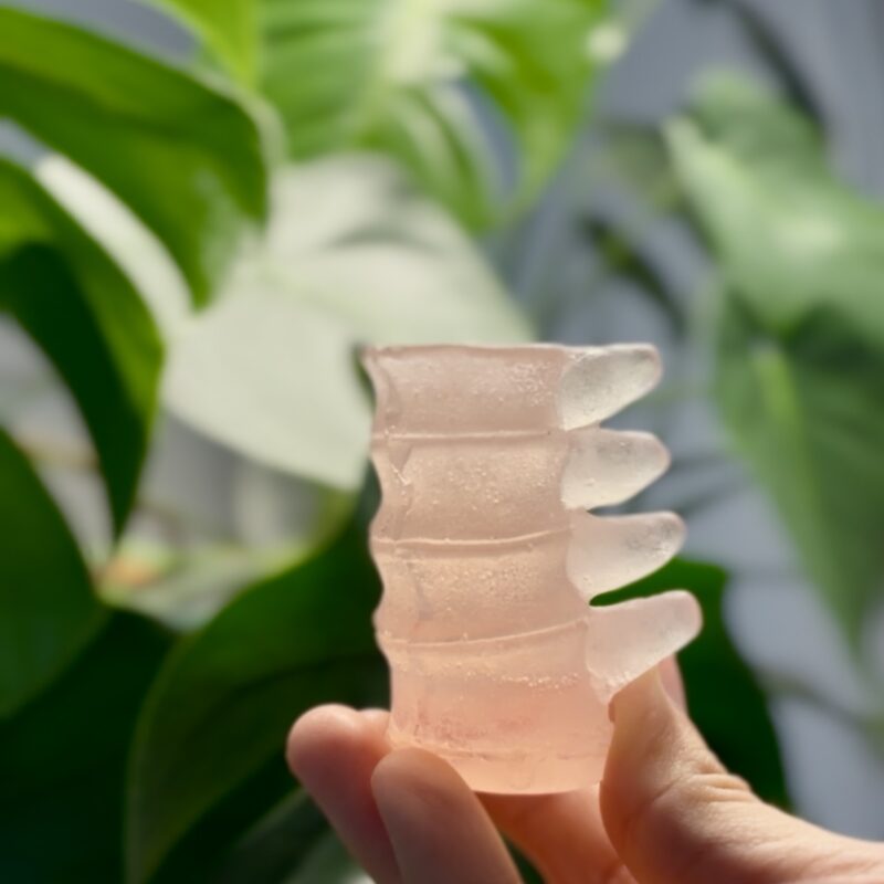 Anatomiczne mydło - kręgosłup (45g)