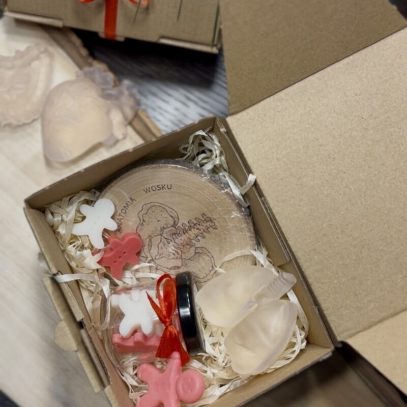 Świąteczny zestaw anatomiczny (I)