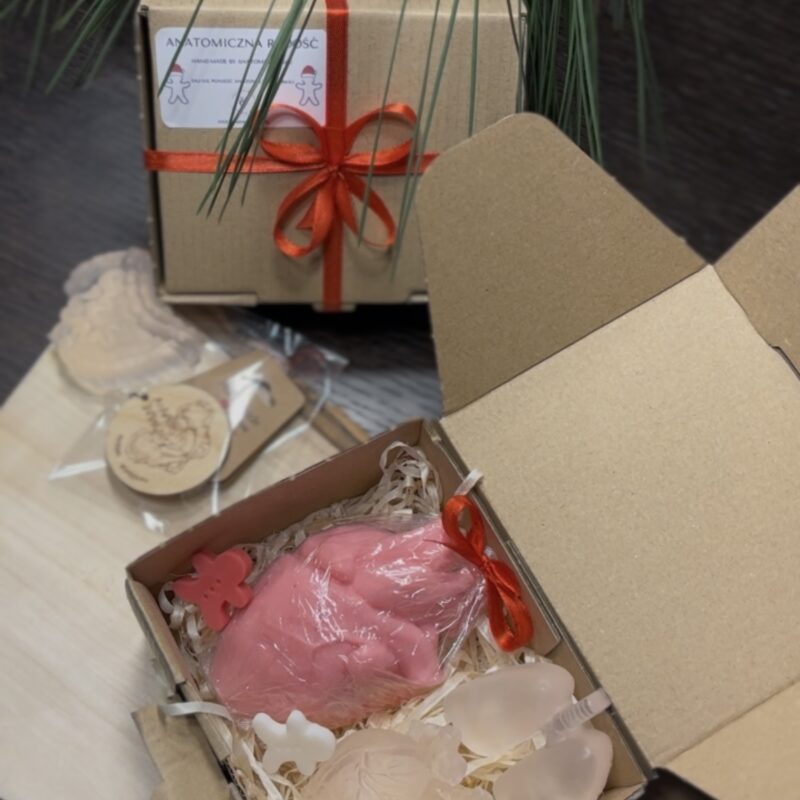 Świąteczny zestaw anatomiczny (III)