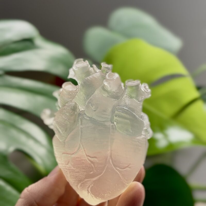 anatomiczne mydło - SERCE (70g)