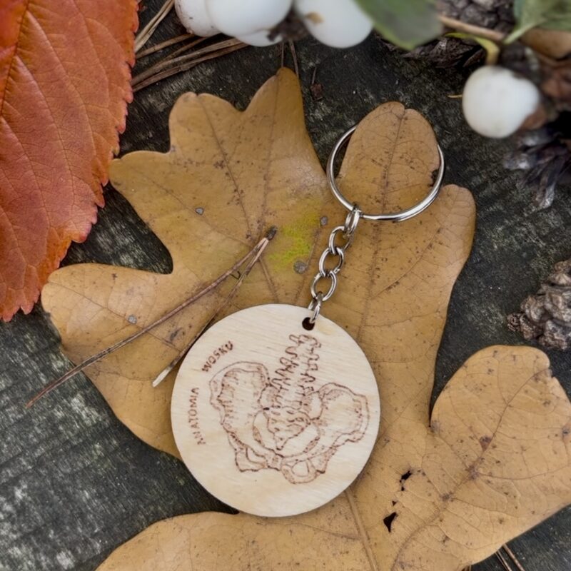 Anatomiczny breloczek - miednica