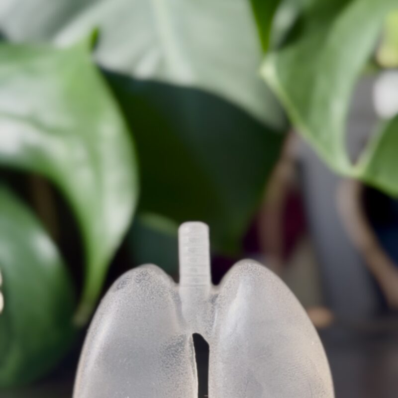 Anatomiczne mydło - płuca