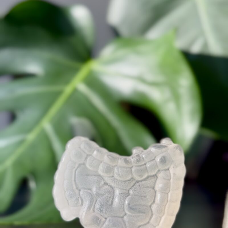 Anatomiczne mydło - jelita