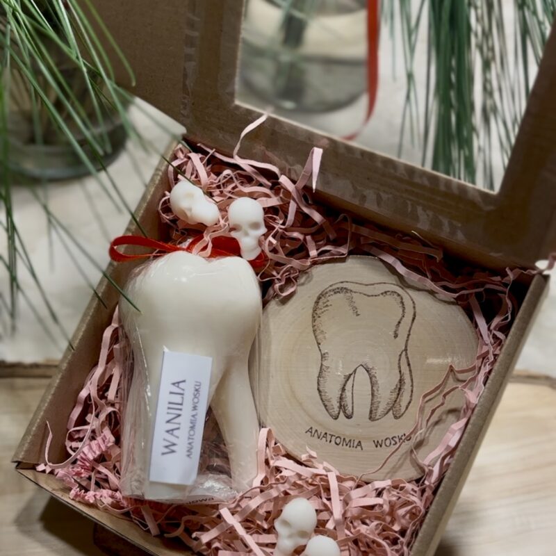 zębowy zestaw sojowy