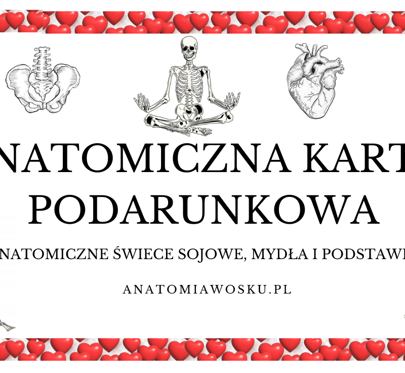 Anatomiczna karta podarunkowa