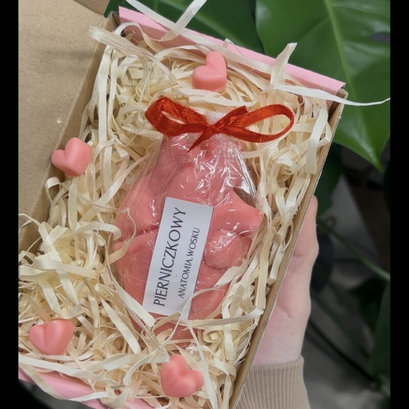 Anatomiczny zestaw walentynkowy II