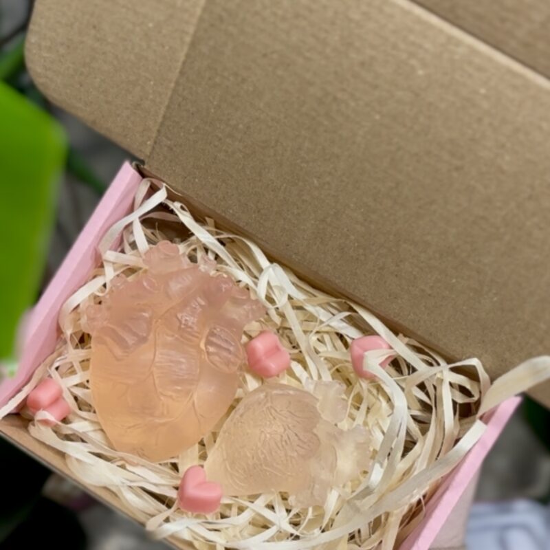 Anatomiczny zestaw walentynkowy III