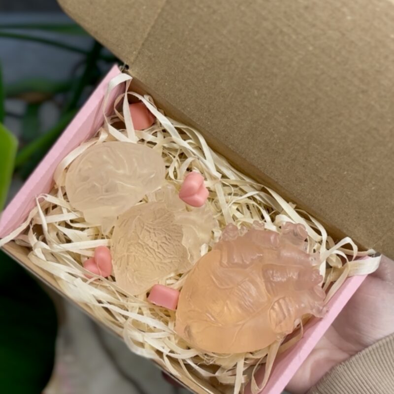 Anatomiczny zestaw walentynkowy IV