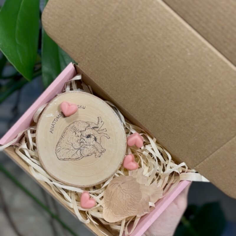 Anatomiczny zestaw walentynkowy V