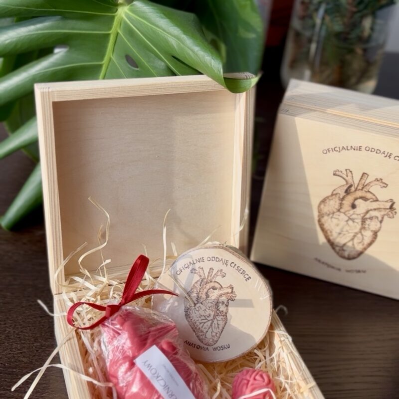 Anatomia Miłości ❤️ - zestaw V (serce czerwone, podstawka)